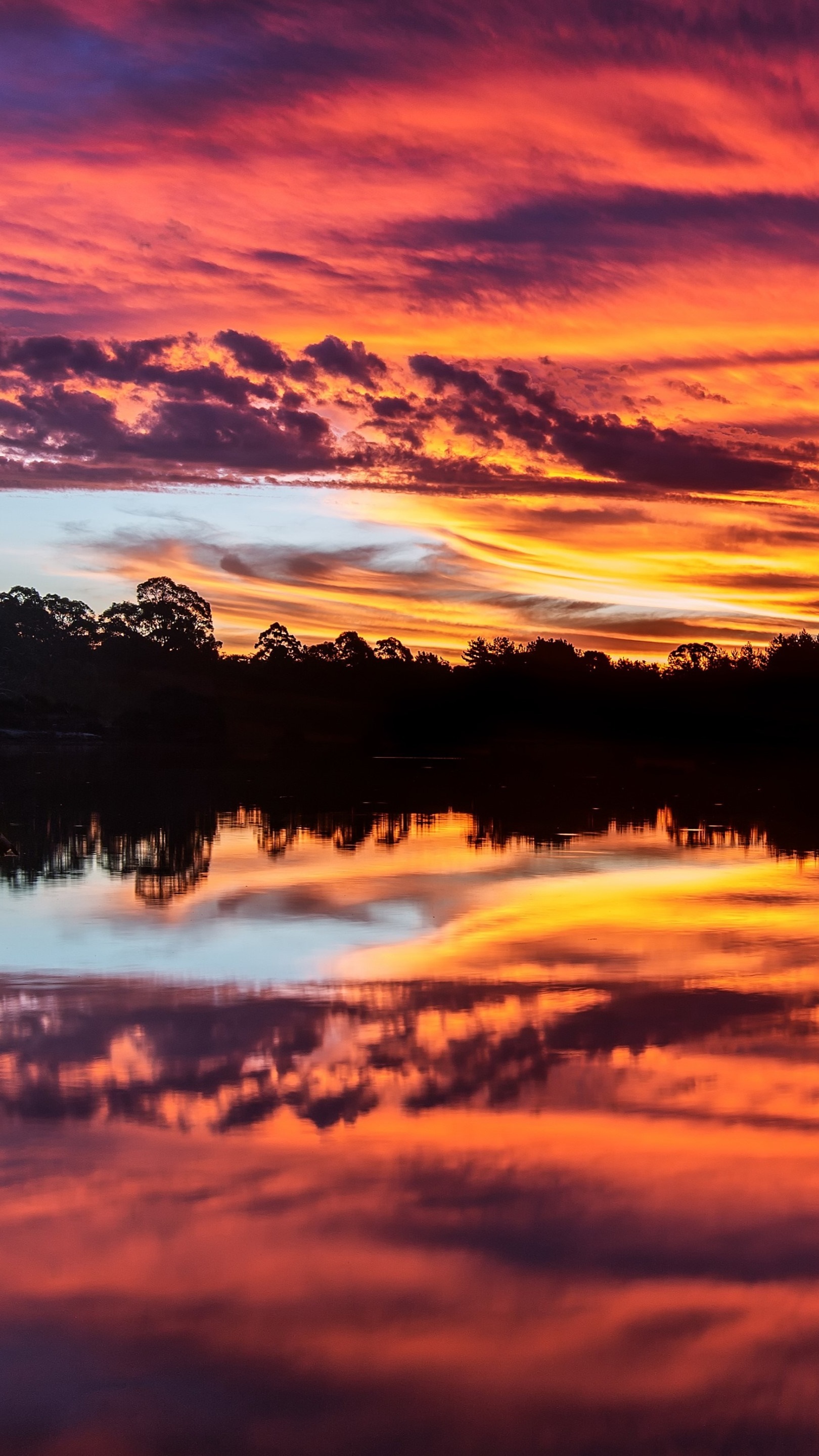 Epic sunset backiee