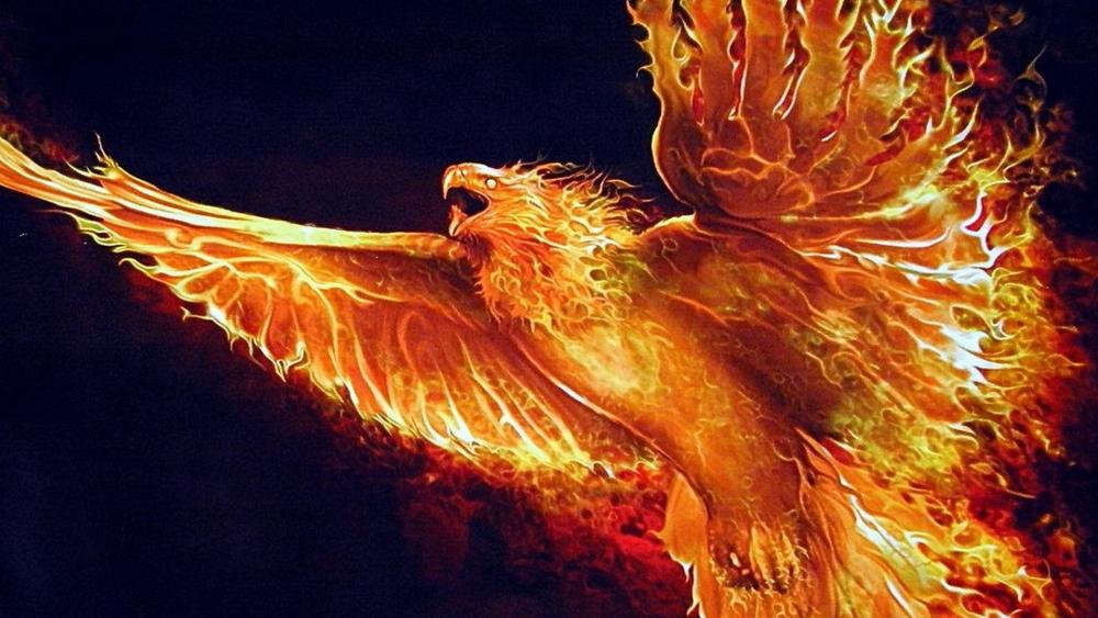 Fire phoenix wallpaper backiee
