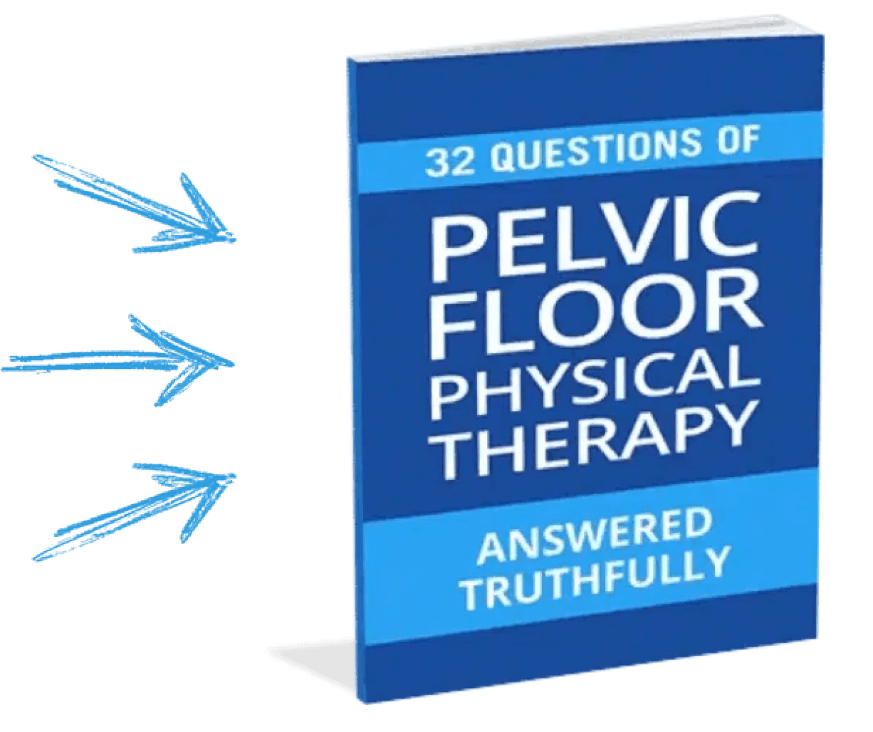 Pelvic Floor Physical Therapy Page Back In Motion Physical Therapy