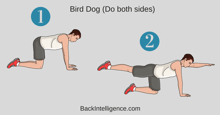 6 Exercises To Strengthen Lower Back And Core Muscles
