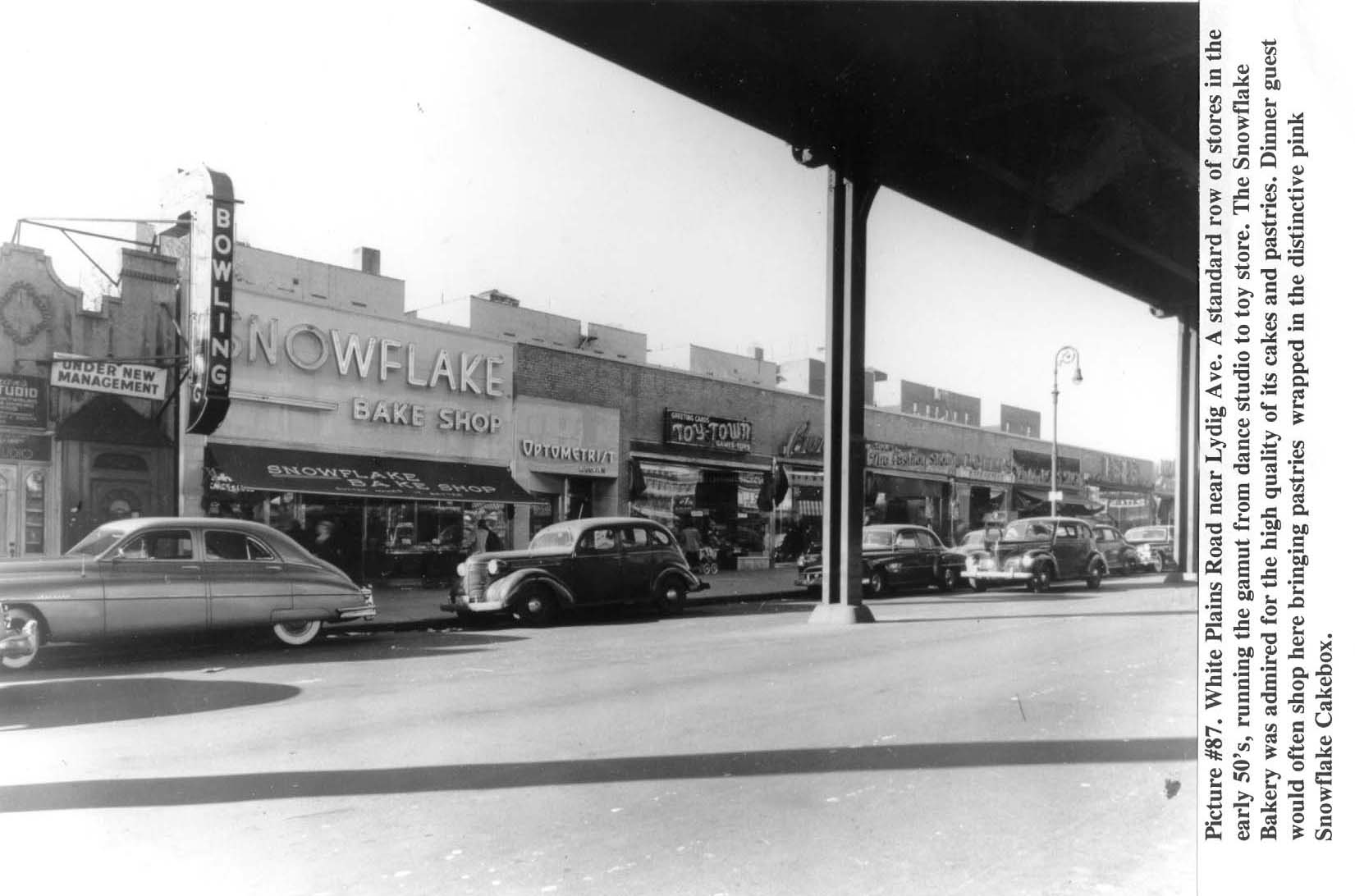 White Plains Rd & Lydig Ave Back In THE BRONX