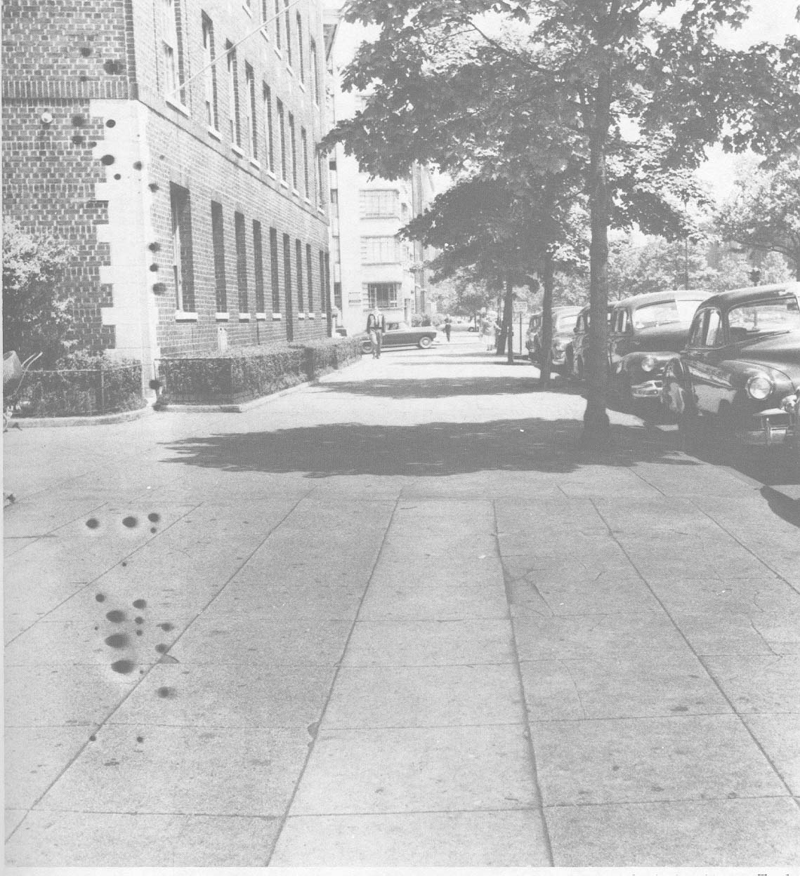 E 169 St & Grand Concourse Back In THE BRONX