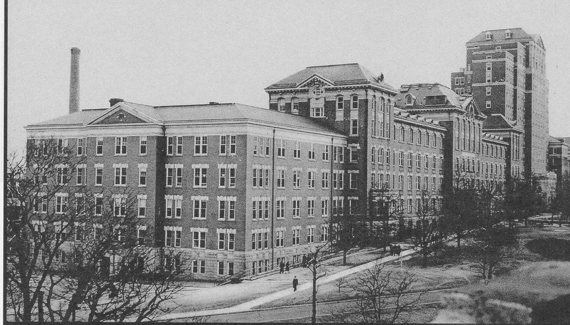 Kingsbridge Road & Sedgwick Ave Back In THE BRONX