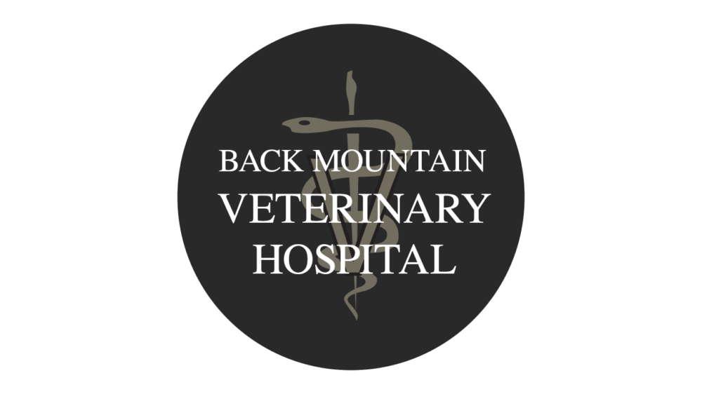 Korrespondent Poesie Lesen west mountain animal hospital Mächtig Lippe