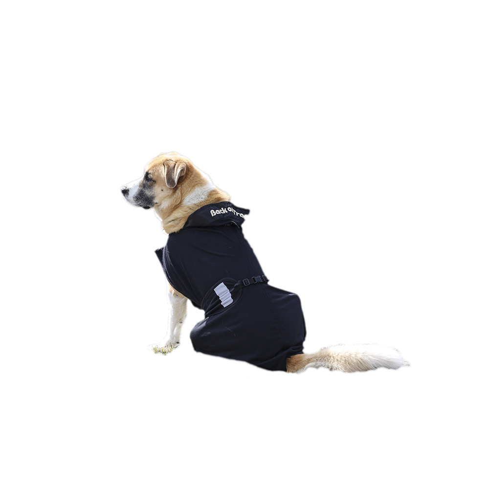Therapeutic Mesh Dog Coat