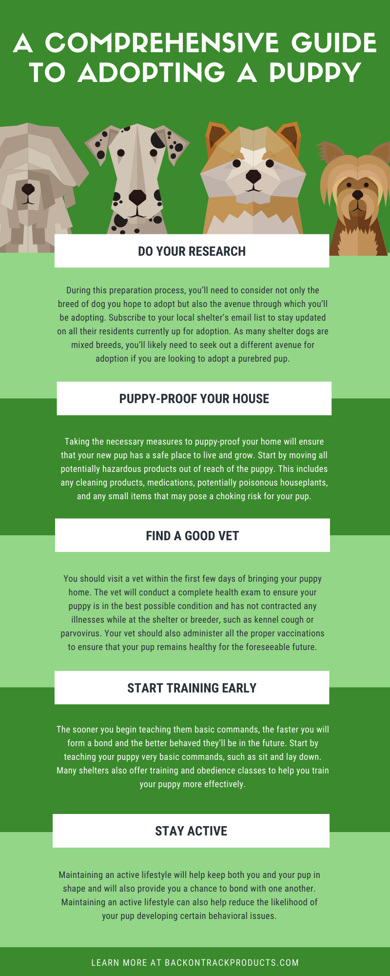 Things You Need To Know Before Adopt A Dog All Details You Need To Know Images