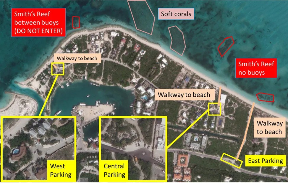 The best snorkeling in Providenciales, Turks and Caicos