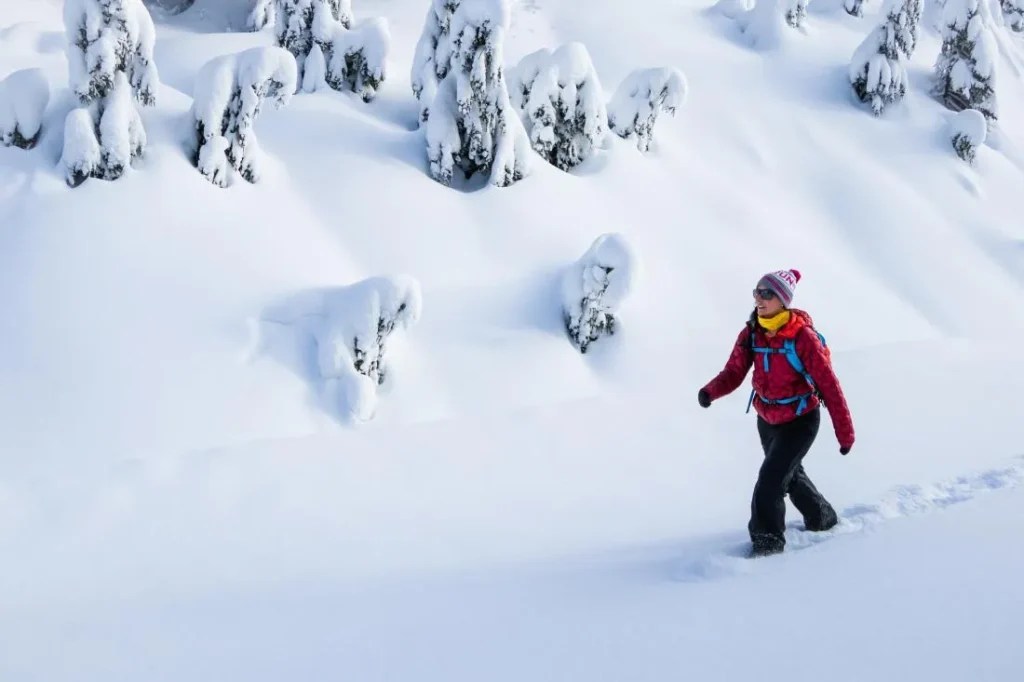 7 Reasons Why Do Snowboarders Wear Backpacks