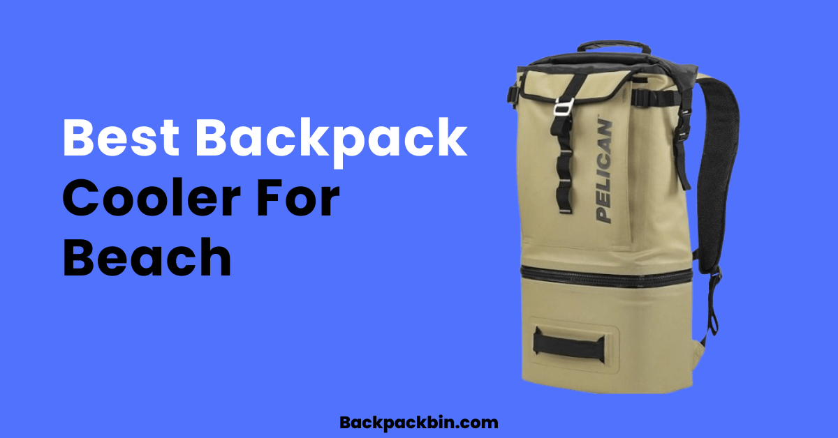 7 Best Backpack Cooler For Beach [2024 Guide]