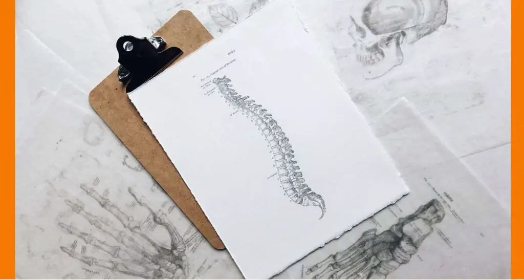 Do Backpacks Help Posture The Science Behind It