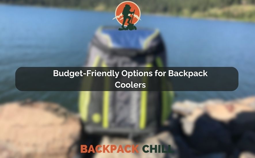 How Much Are Backpack Cooler in 2023 Best Buying Guide!!!