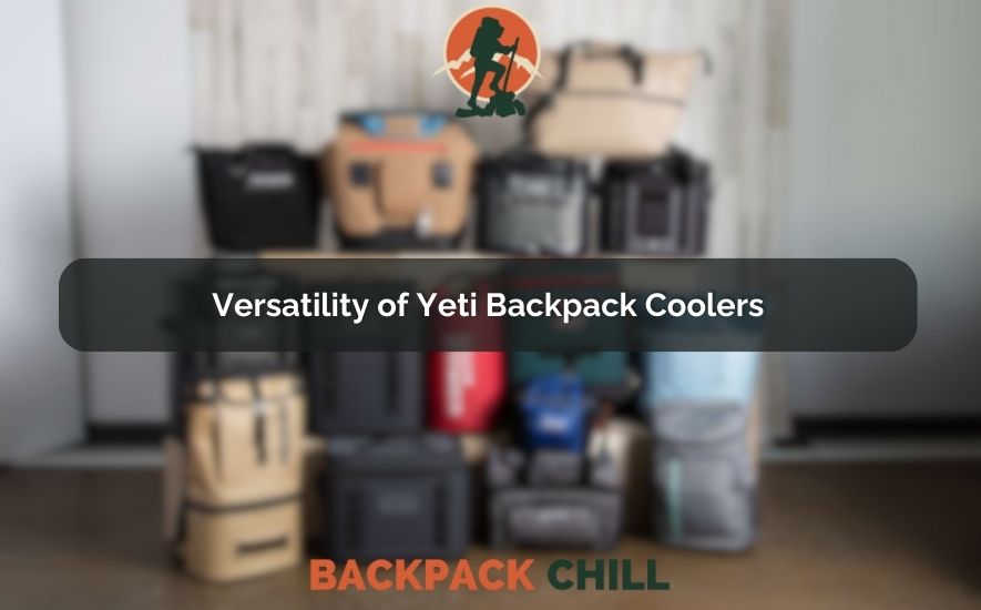 How Much Is A Yeti Backpack Cooler in 2023 Complete Guide