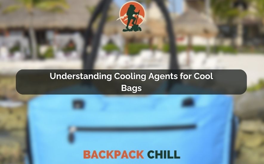 Easiest Ways To Use A Cool Bag Best Guide Ever (2023)