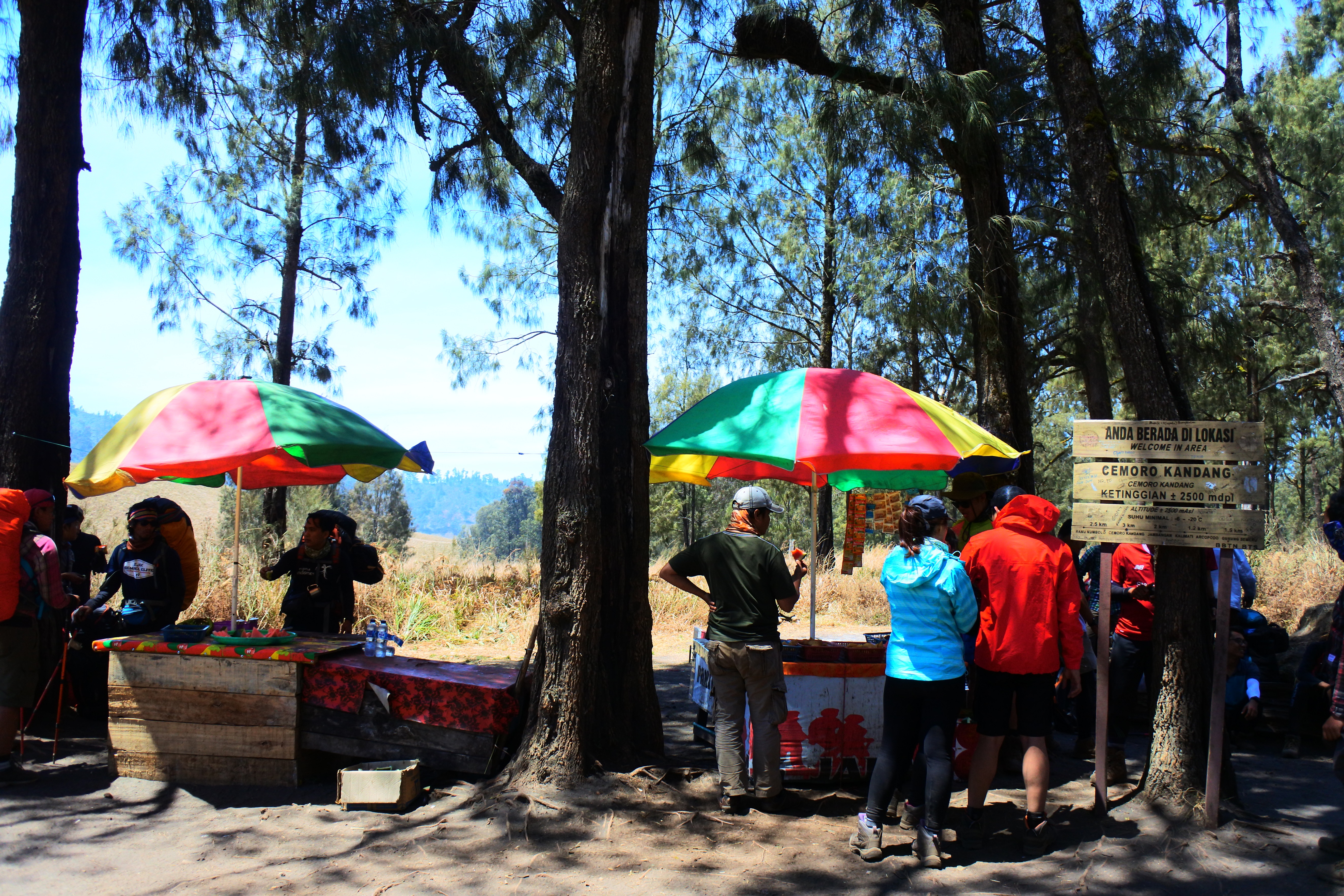 Cemoro Kandang - Backpacker Jakarta