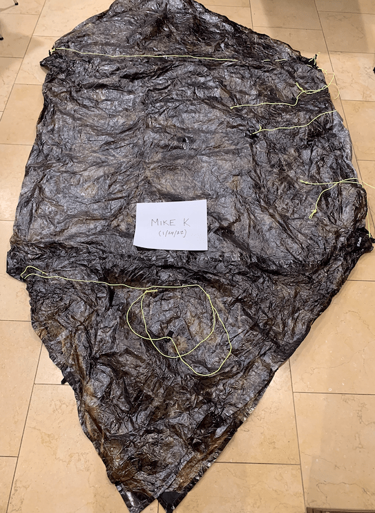 Zpacks Duplex (never used) Camo. ***SOLD*** Backpacking Light