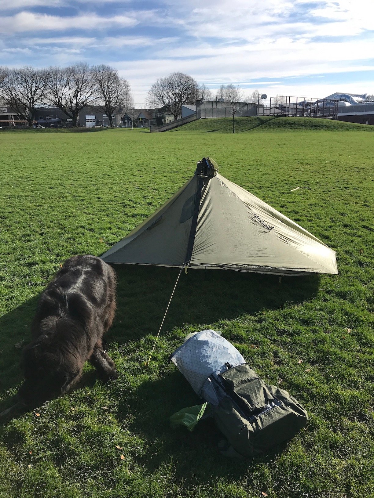 F/S SMD Gatewood Cape + Serenity Net tent Backpacking Light
