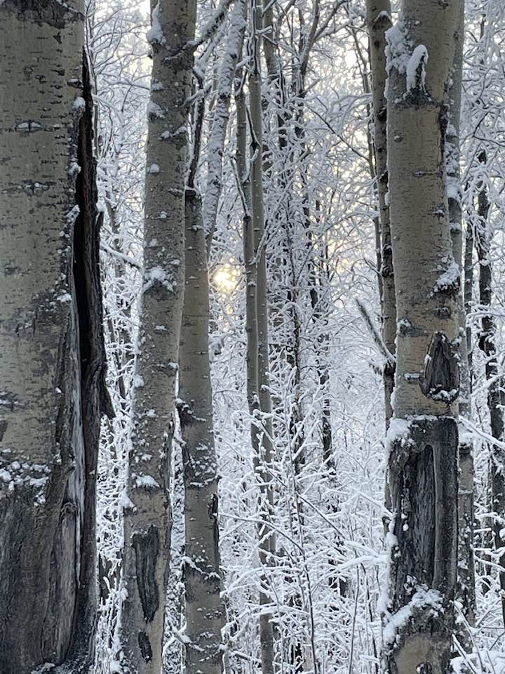 Short loop in deep winter is better than no loop Fairbanks Alaska