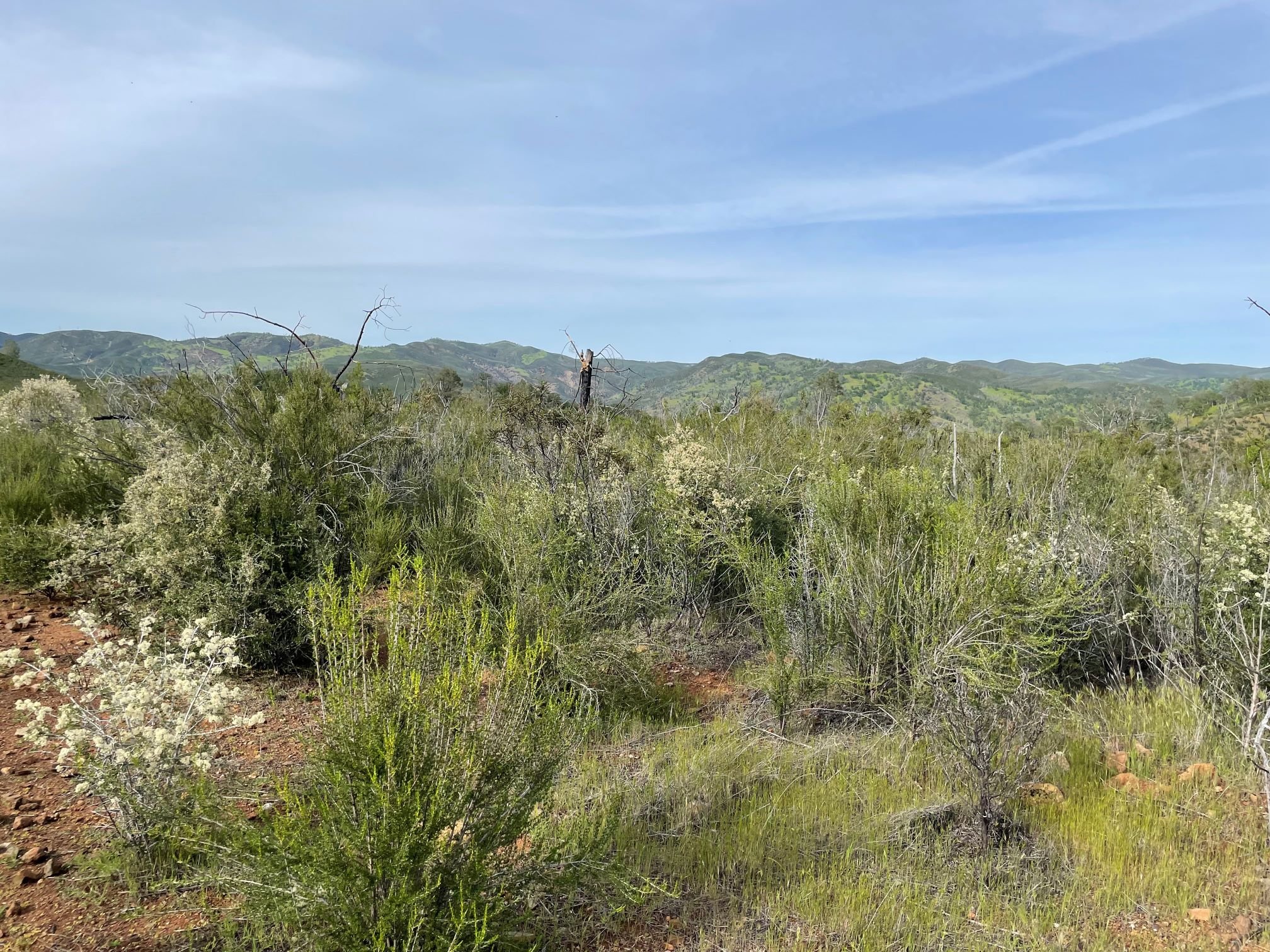 Cache Creek Wilderness April 2023 Backpacking Light