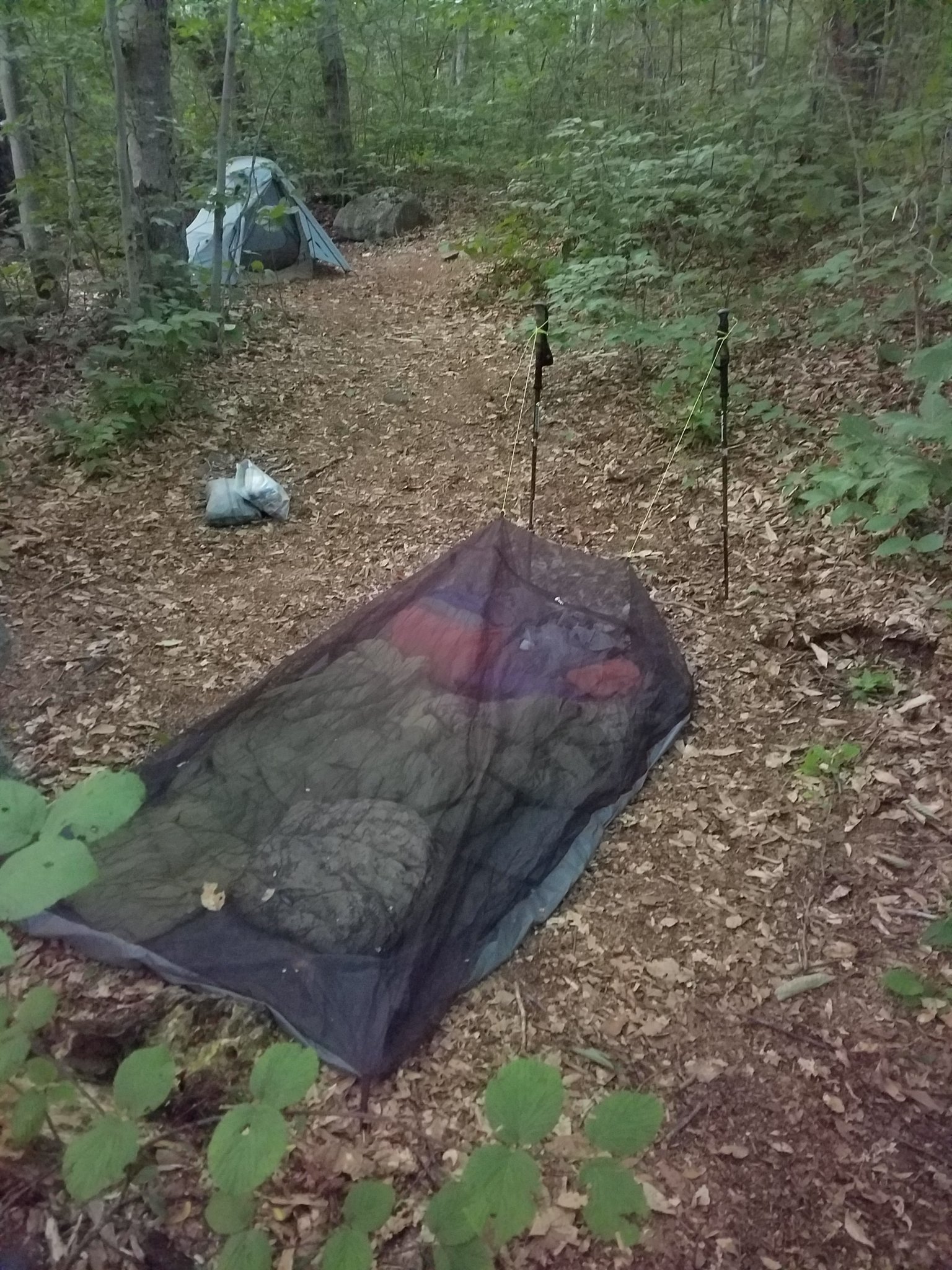 WTB MLD BUG BIVY 2 Backpacking Light