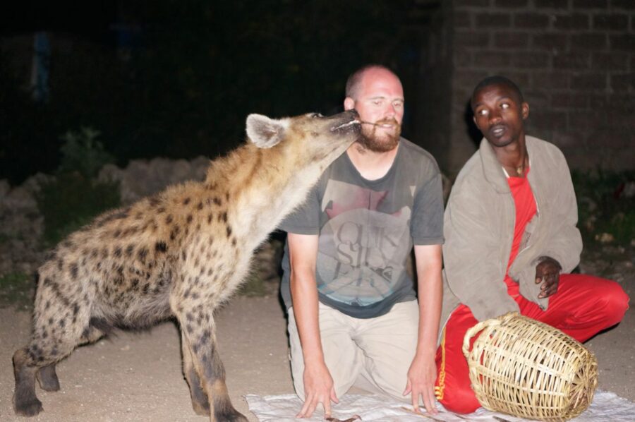 How to Feed Wild Hyenas in Harar Ethiopia Travel Backpackingman