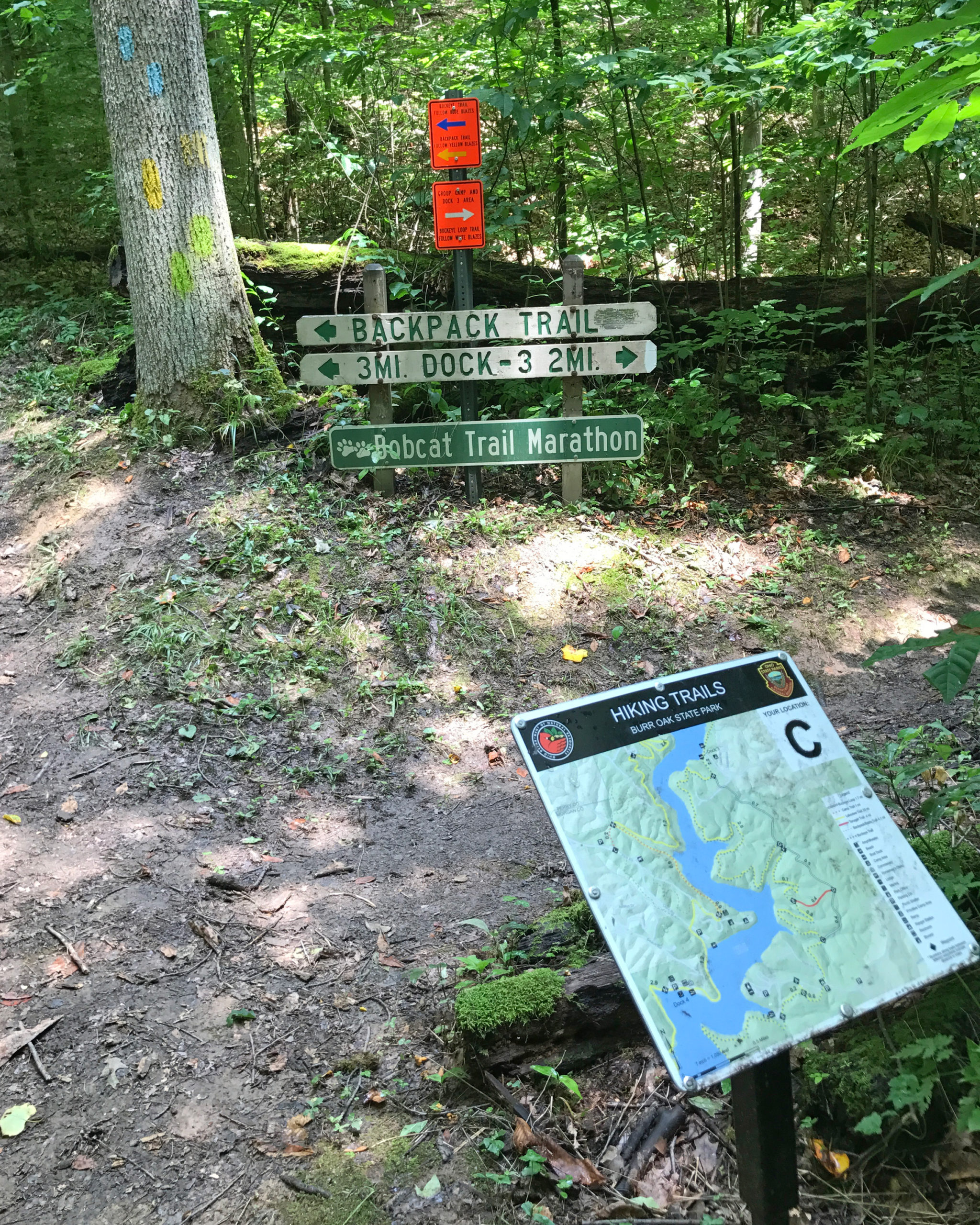 Wayne National Forest Trail Map