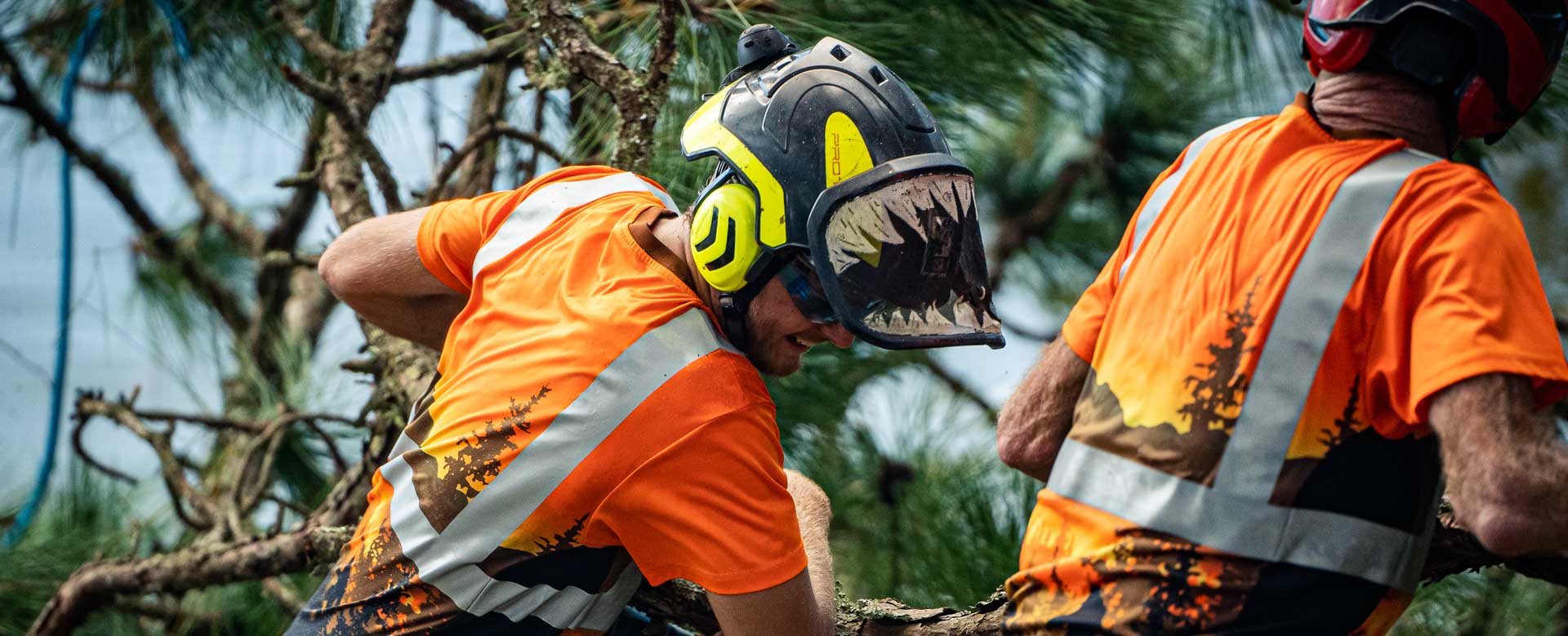 What Is an ISACertified Arborist & Why Should You Hire One?