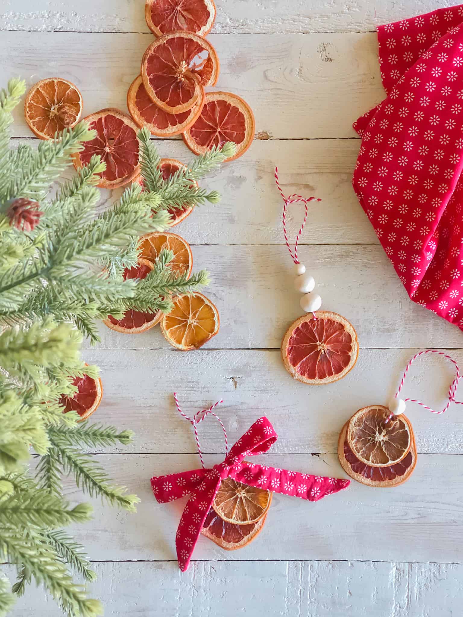 DIY Dried Orange Ornaments Back Road Bloom