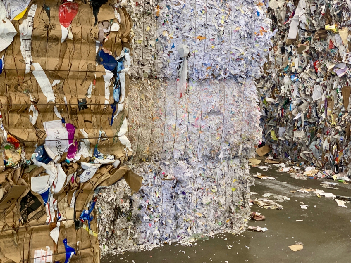 Are Milk Cartons Recyclable? A Guide for Consumers Backroad