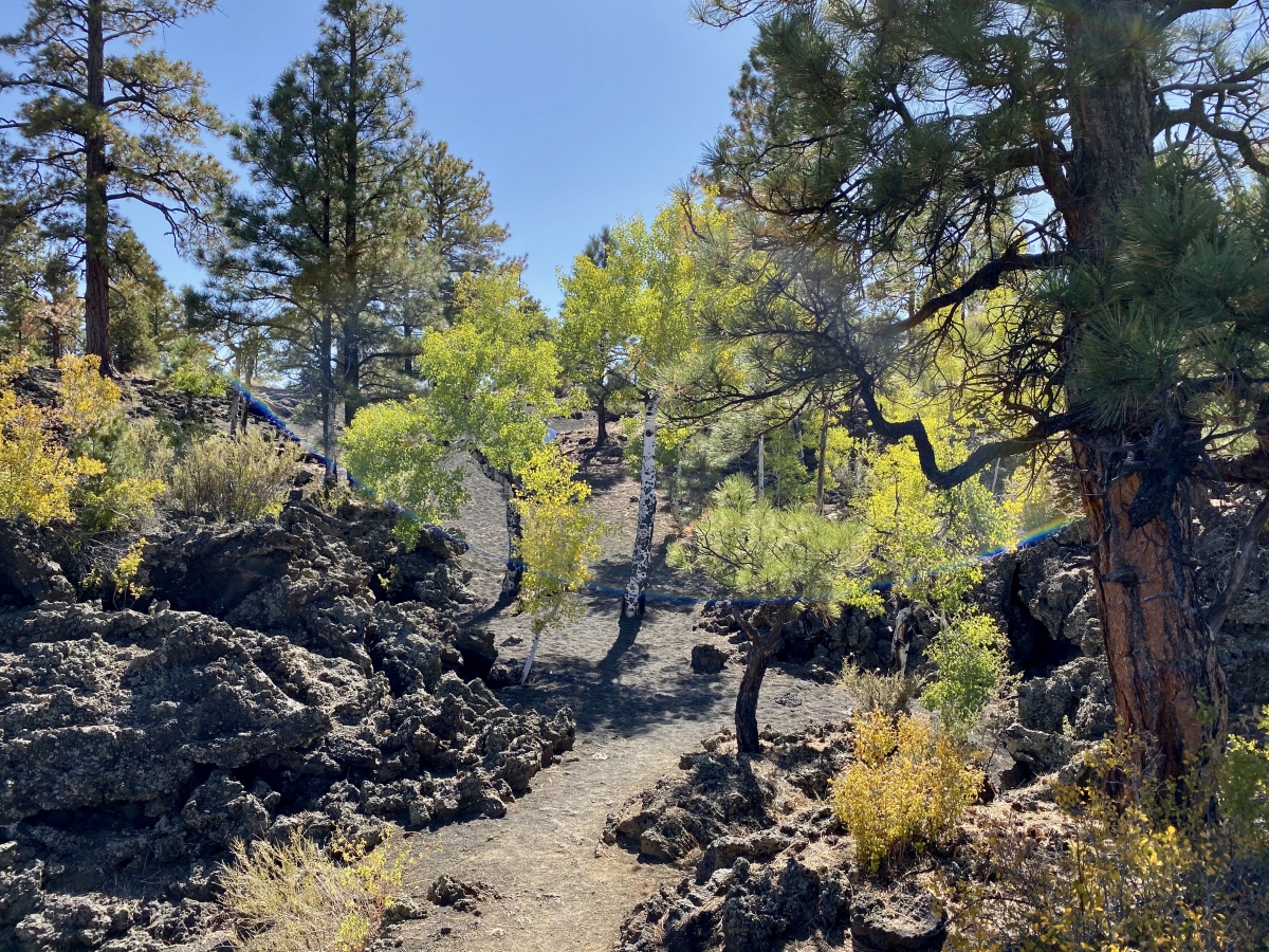3 Magnificent Flagstaff National Monuments Backroad