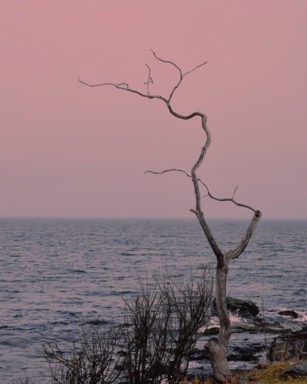 The Very Best Things to do in Portsmouth, NH in the Winter