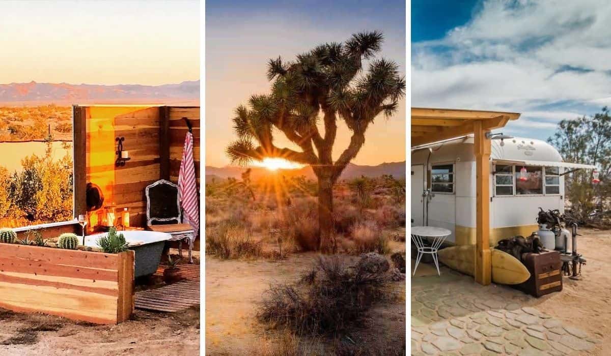11 Beautiful Joshua Tree Glamping Spots You'll Love