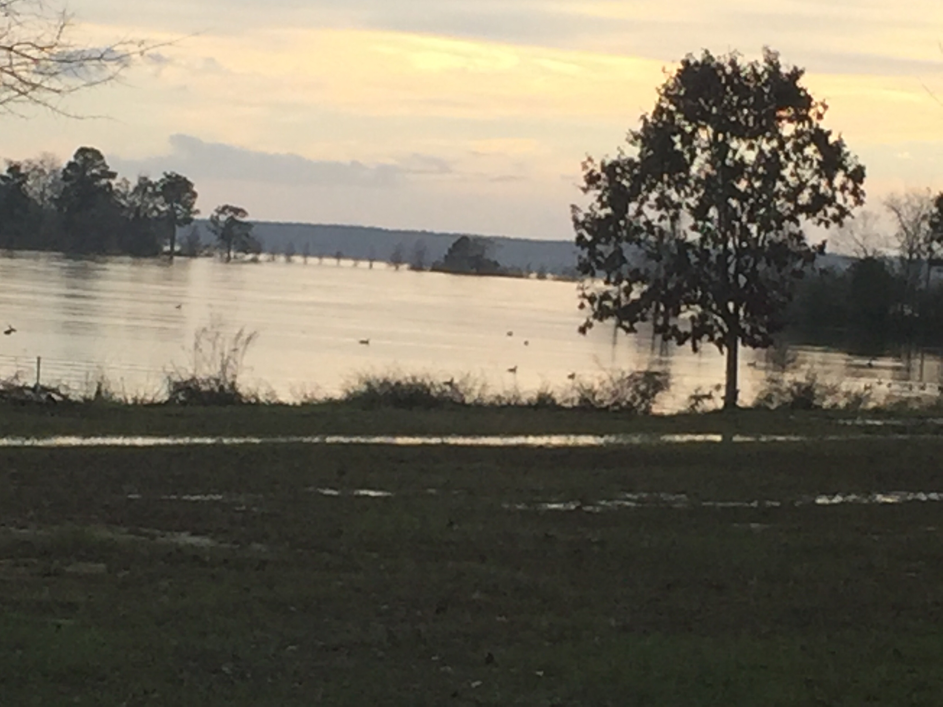 Cotton Hill Campground backroadrvcamping