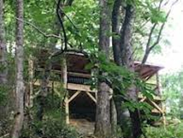 Up The Creek Trail House Backroads of Appalachia