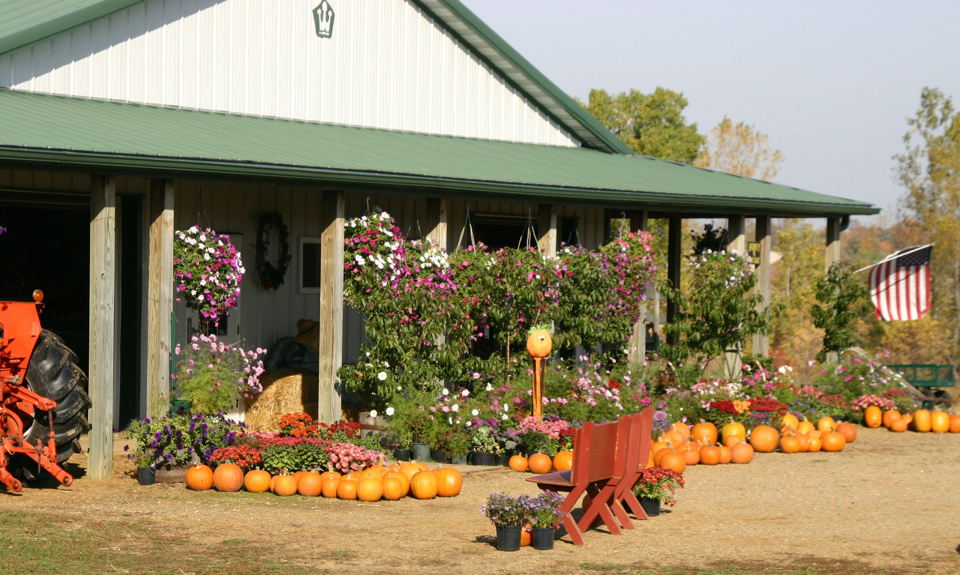 Maple Leaf Orchard Visit Pierce County in Western WI, a day trip tourism destination.