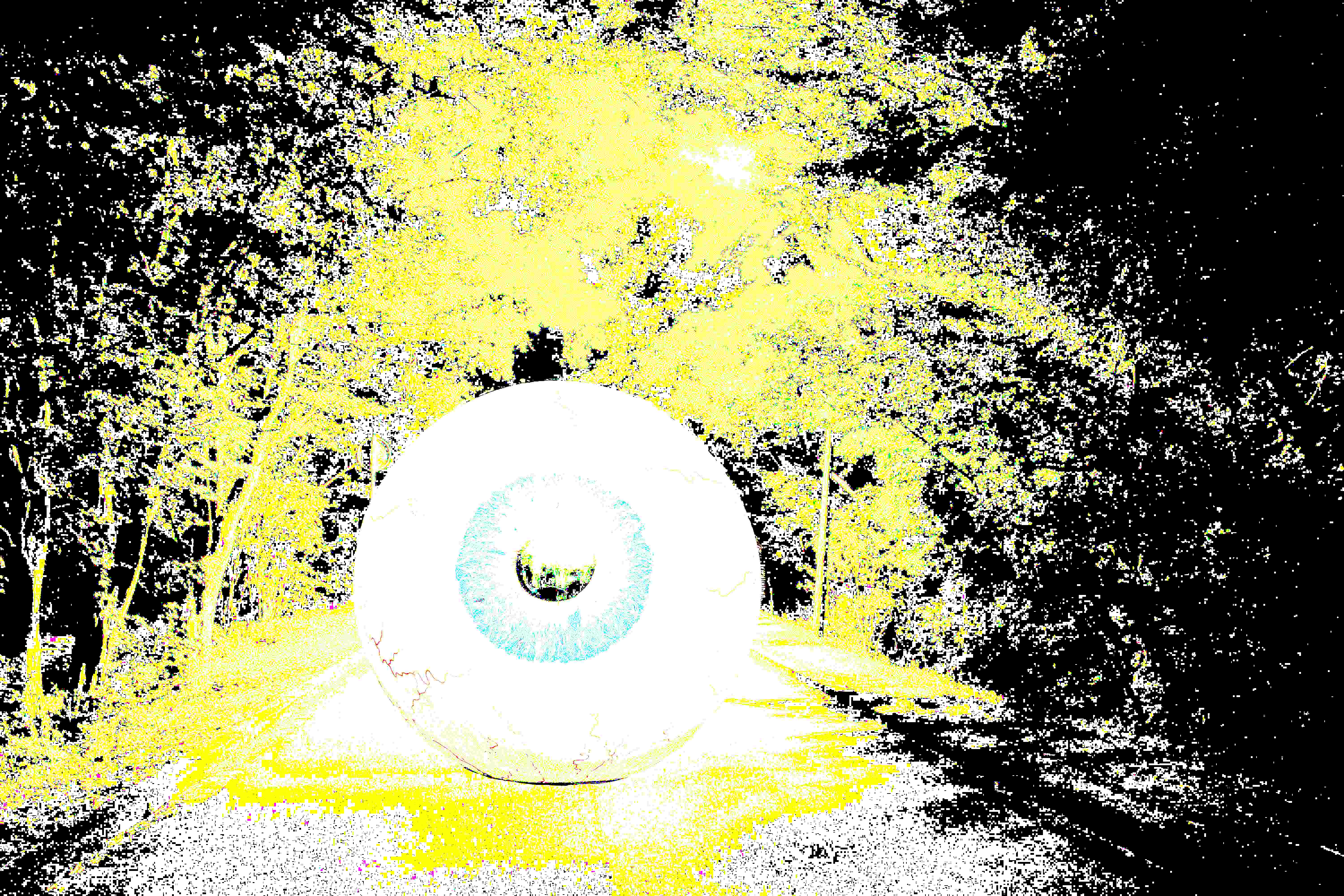 Entity 96 "The Neighborhood Watch" The Backrooms Pantheon