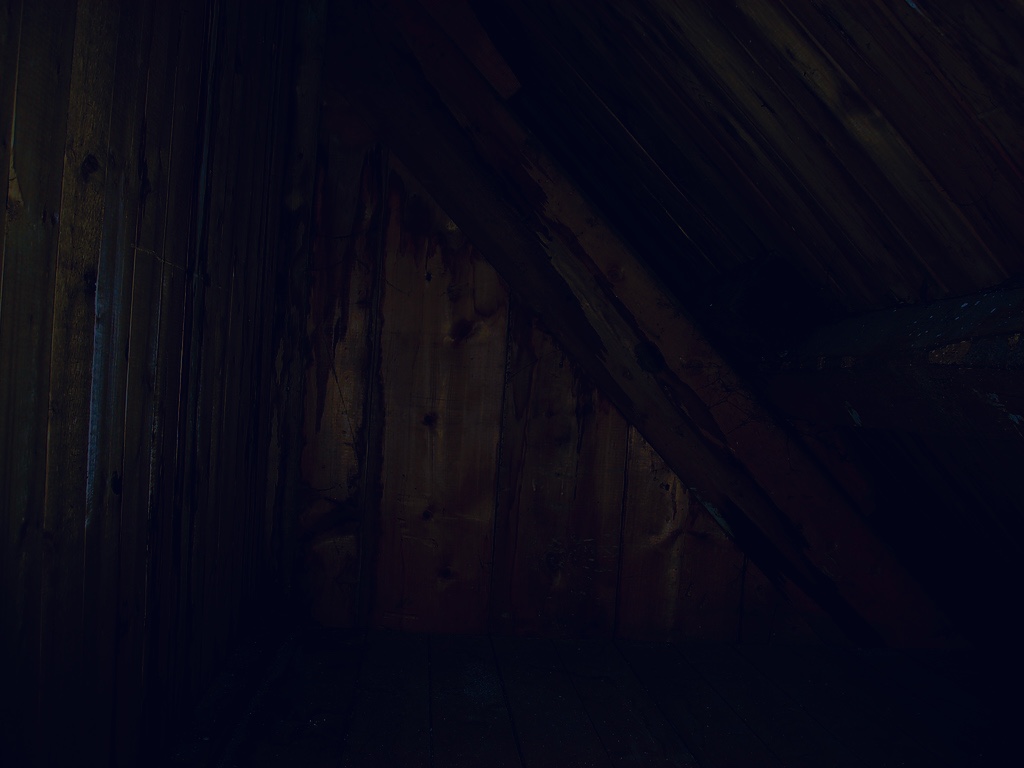 Level 19 “Attic Floorboards” Backrooms日本語翻訳