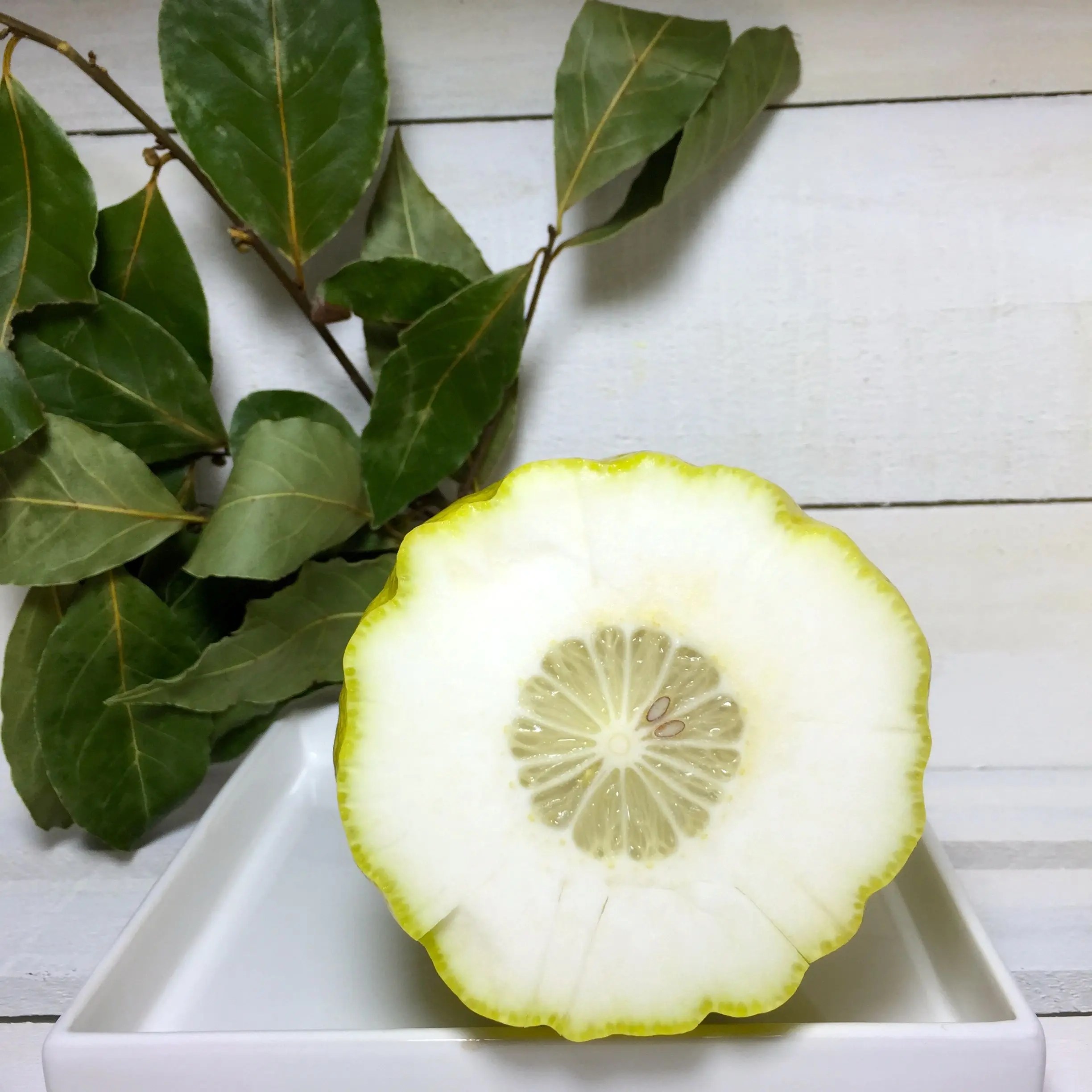 Weihnachtsbäckerei Zitronat selbst herstellen Die Backschwestern