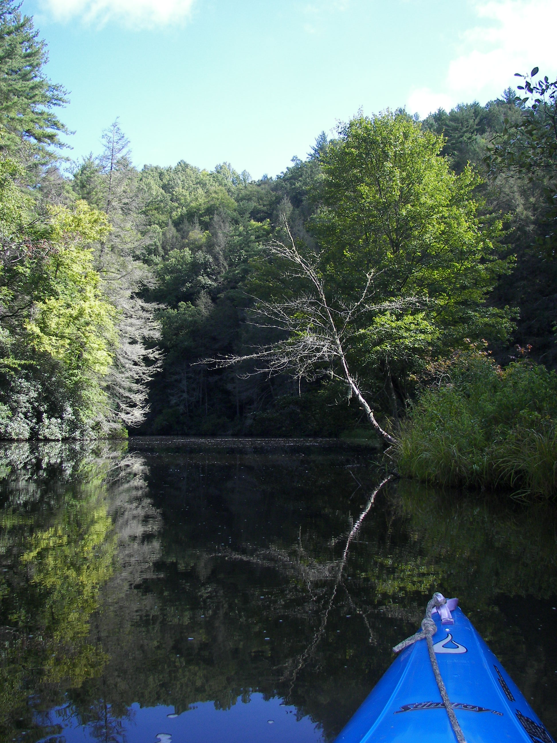 Cascade Lake NC Life at 60, (mph)