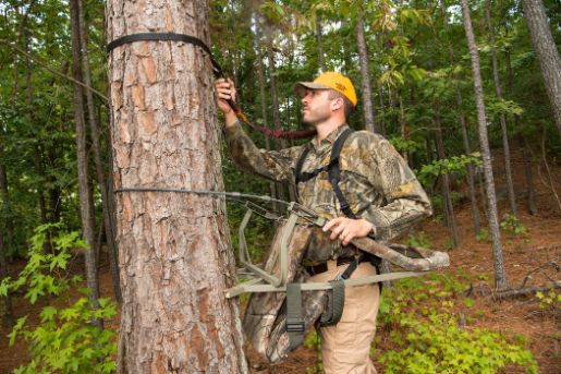 When Should A Hunter Wear A Fall Arrest System?