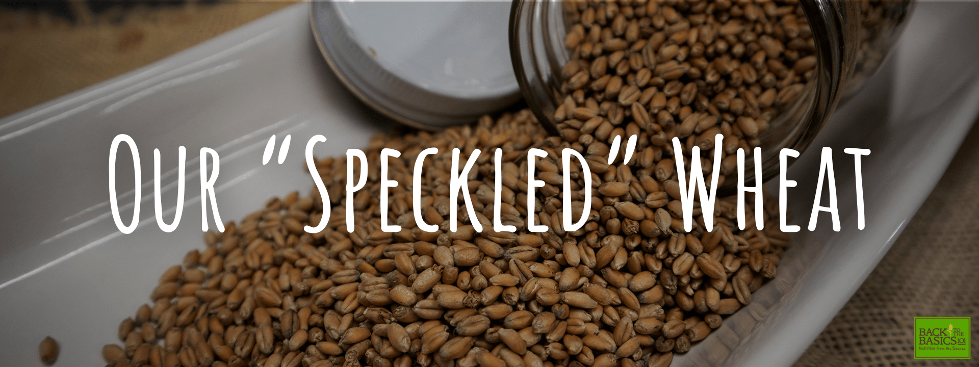 NEW Secret Ingredient (GA) Back To The Basics 101