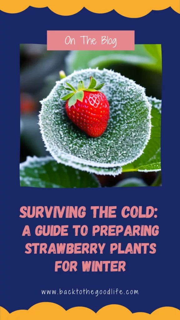 Surviving The Cold A Guide To Preparing Strawberry Plants For Winter