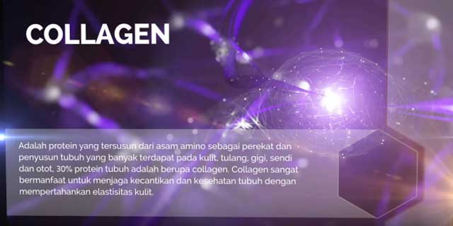 collagen collagen