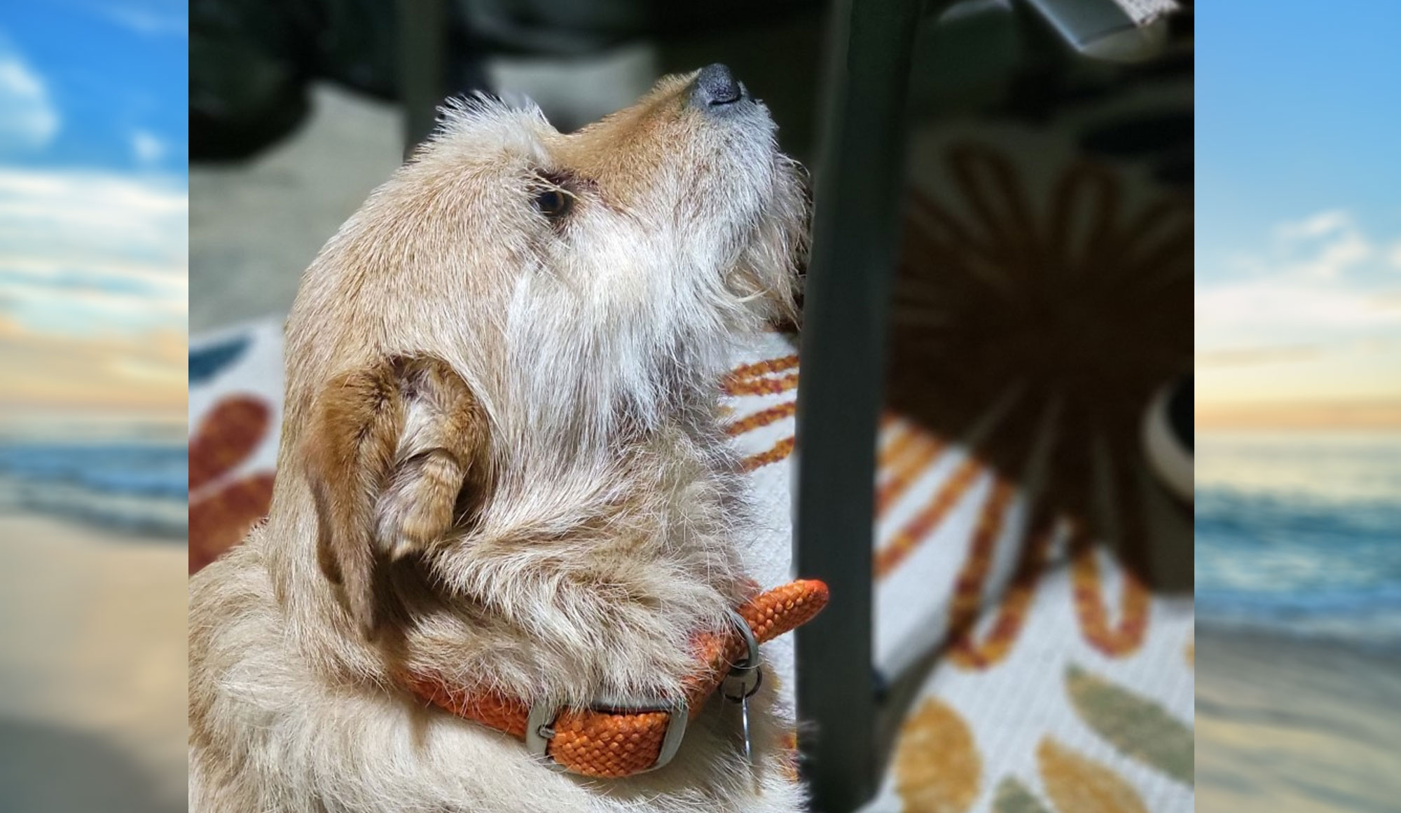 Backwater Realty, Inc.