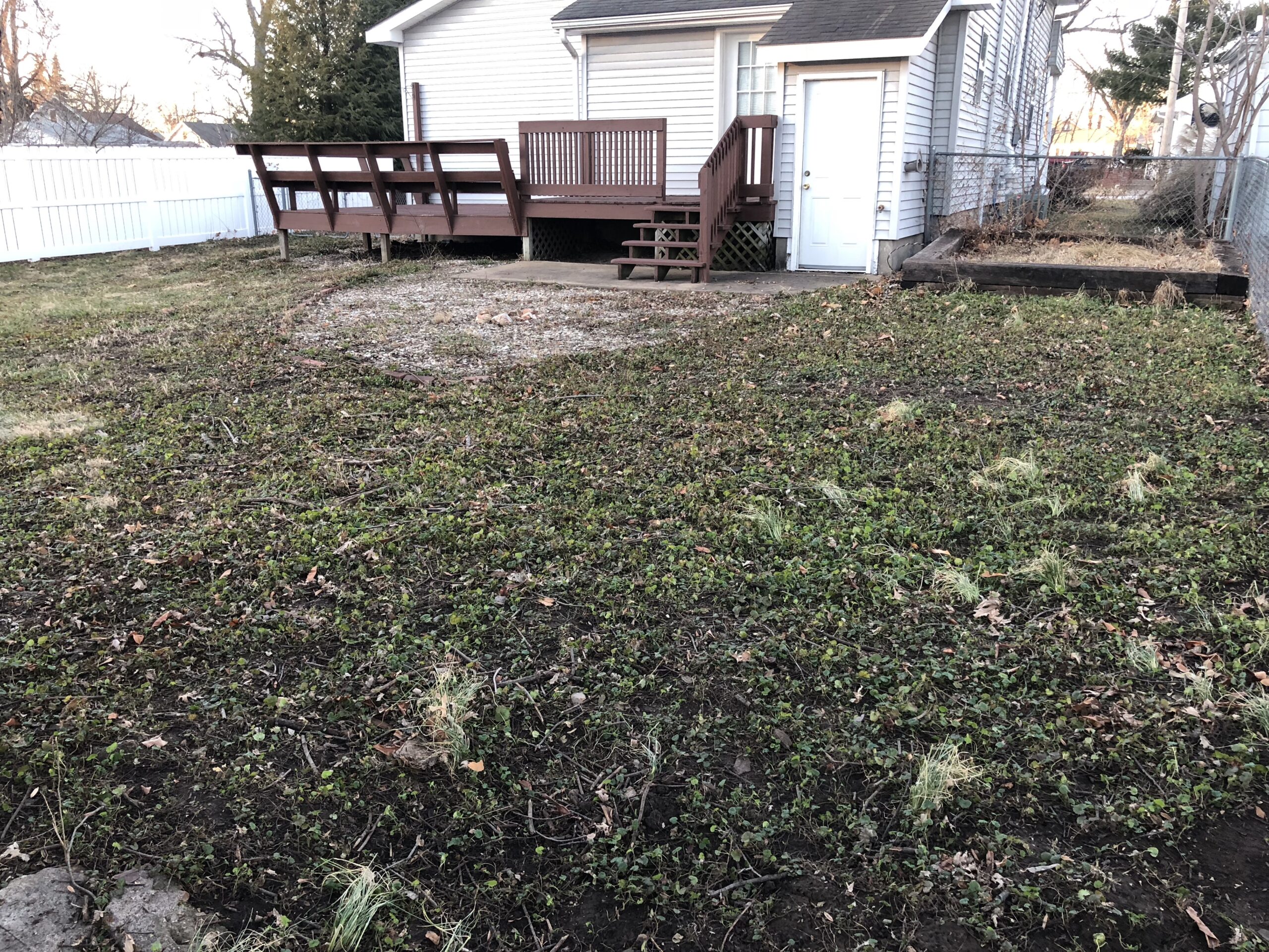 IMG_0021 Backyard Barber Lawncare