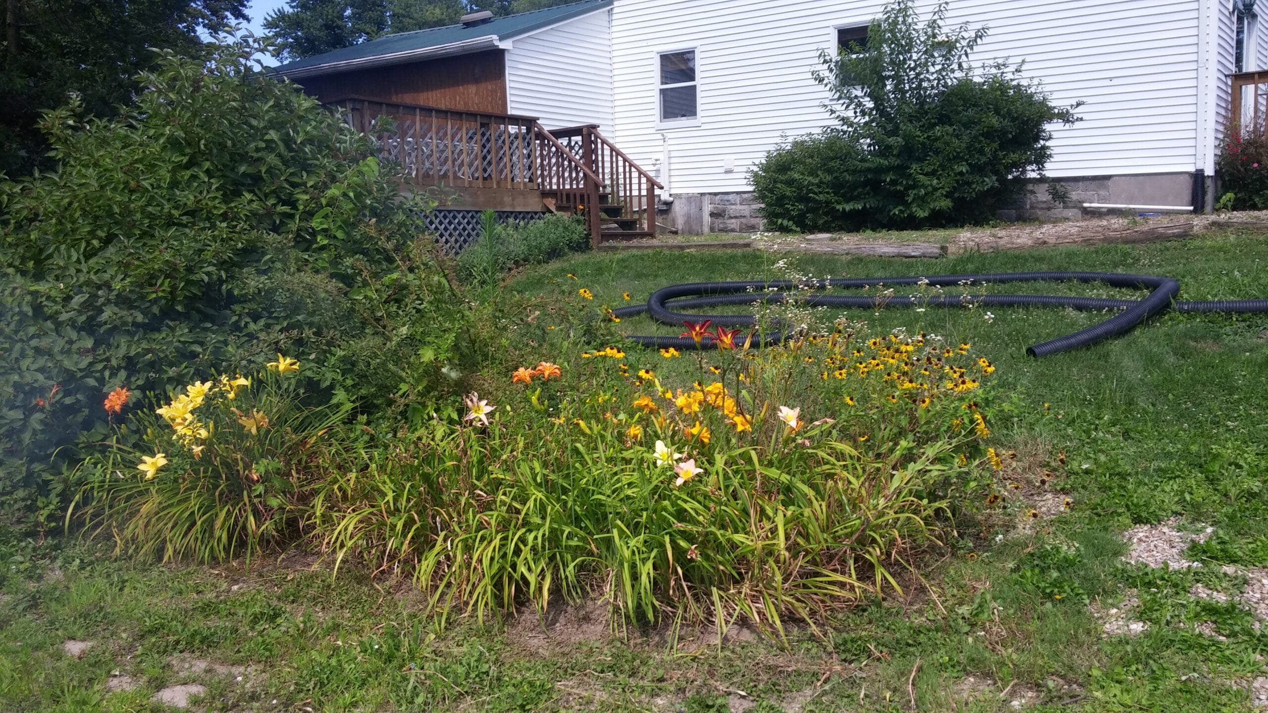 IMG_0860 Backyard Barber Lawncare