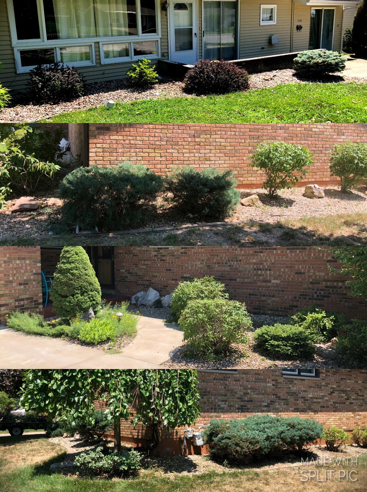 Bush Trimming Quincy, IL Backyard Barber Backyard Barber Lawncare