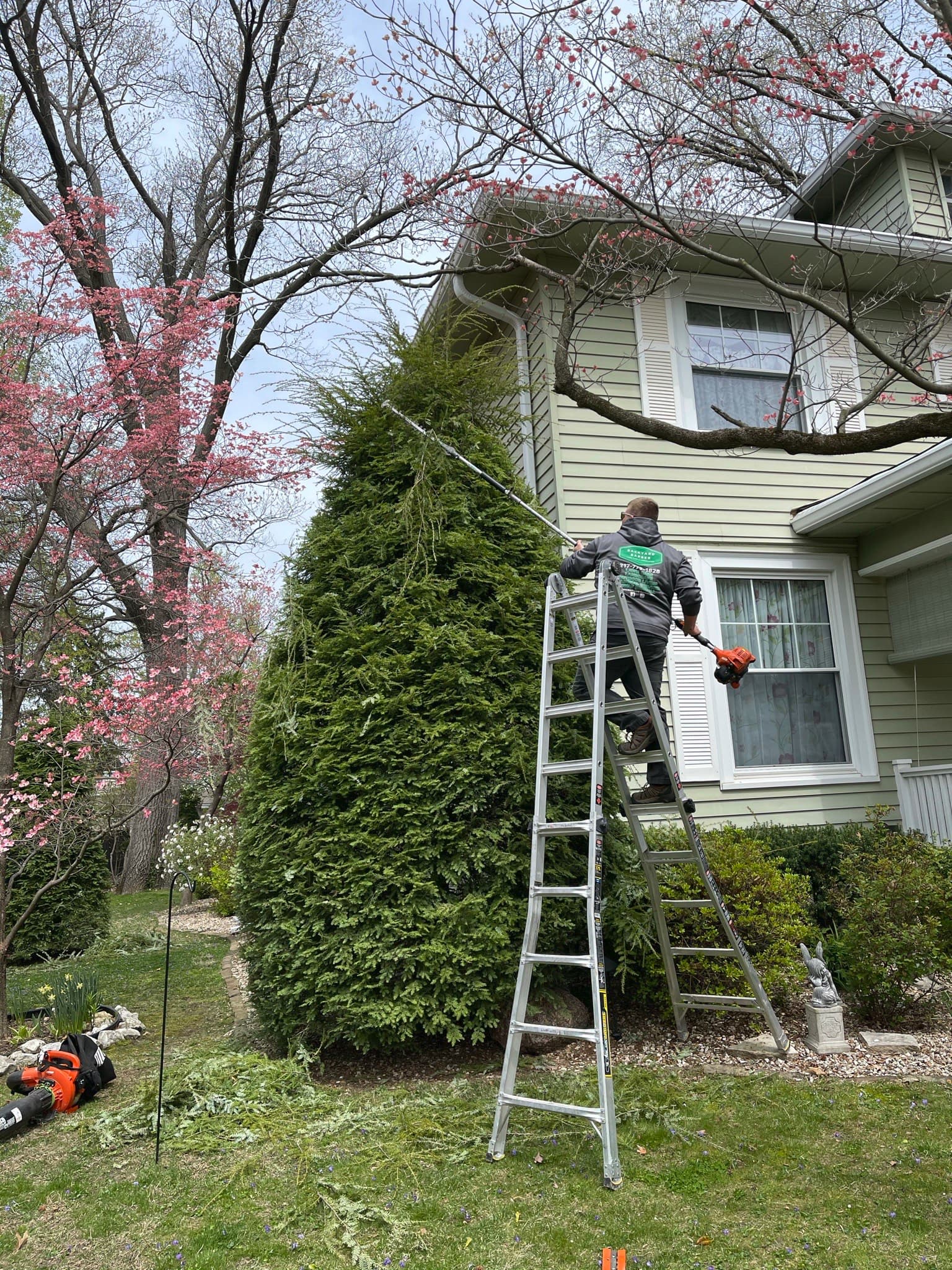 Bush Trimming Backyard Barber Lawncare