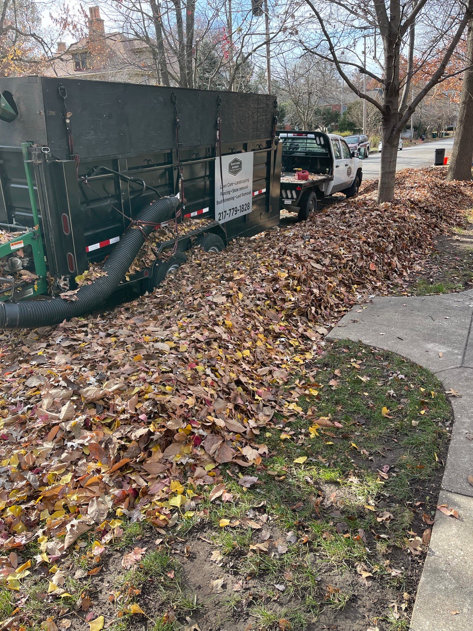 Seasonal Cleanup Quincy IL Backyard Barber Lawncare