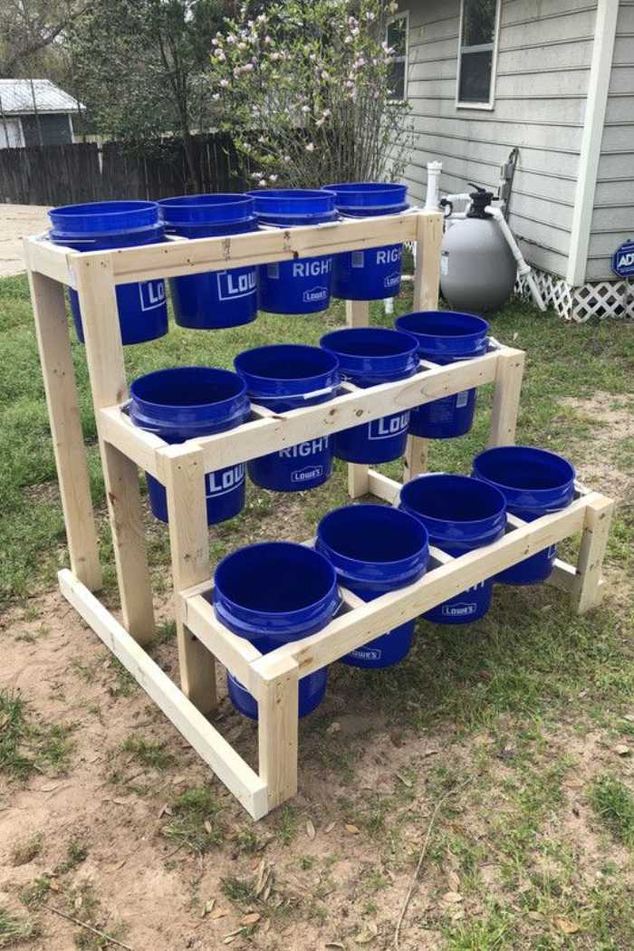 5 Gallon Bucket Garden Ideas Unique Ways To Grow Vegetables In 5