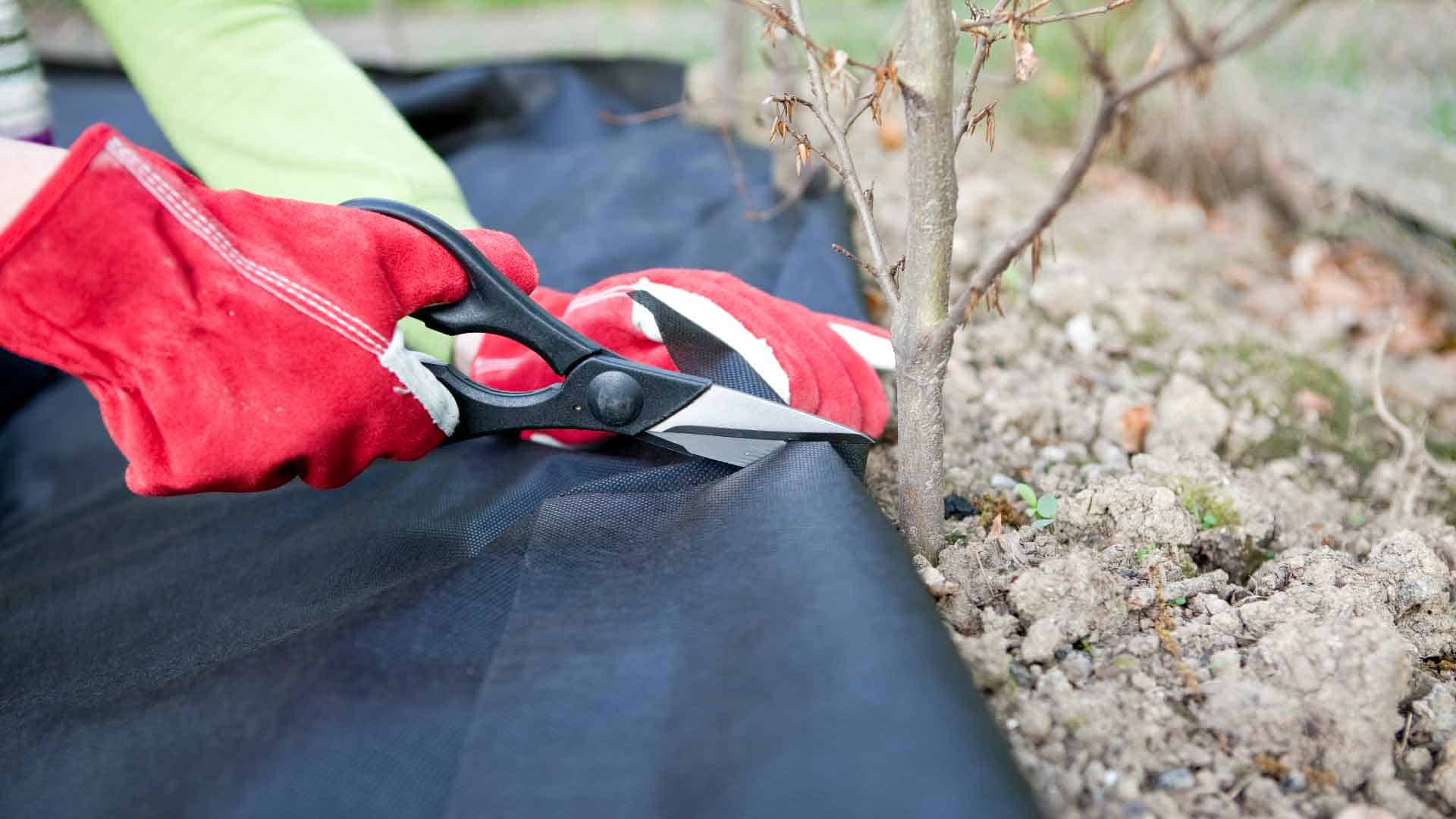 Landscape Fabric Alternatives for Weed Control Exmark's Backyard Life